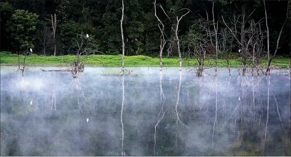  ?? Photo by Terry Stanfill ?? Steam rose from the water at SWEPCO Lake on a cool morning at the Eagle Watch Nature Area earlier this month. White egrets can be seen in the trees in the background.