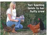  ??  ?? Tori Spelling
tends to her
fluffy crew