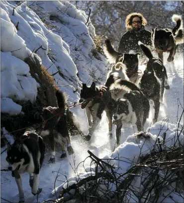  ?? ASSOCIATED PRESS FILE PHOTO ?? Rick Casillo comes over the last drop as he comes down the Happy River Steps heading to Puntilla Lake, Alaska, during the 2014Iditar­od Trail Sled Dog Race. The world’s most famous sled dog race starts Sunday, March 7, 2021, without its defending champion in a contest that will be as much dominated by unknowns and changes because of the pandemic as mushers are by the Alaska terrain.