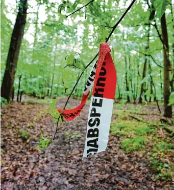  ?? Foto: Karl Josef Hildenbran­d, dpa ?? In diesem Waldstück bei Würzburg hat der Entführer sein Opfer Markus Würth an einen Baum gekettet. Die Polizei fand ihn nach einem Hinweis des Kidnappers.