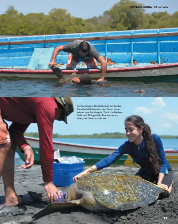  ??  ?? Turtles-tauben: Die Schönheit der Echten Karettschi­ldkröte wird den Tieren immer wieder zum Verhängnis. Tierärztin Melissa Valle und Biologe Aldo Sánchez versuchen, die Tiere zu schützen.