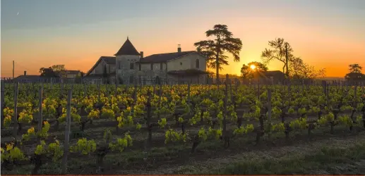  ??  ?? C’est en Suisse en 1997 que le sommelier Christian Martray a découvert le formidable saint-émilion de La Mondotte, une propriété jusque-là inconnue.