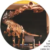  ?? AP ?? People view a 40-metrelong model of Patagotita­n mayorum, a giant herbivore dinosaur that lived in Argentina 100 million years ago, during the adult-only sleepover at the Museum of Natural History.
