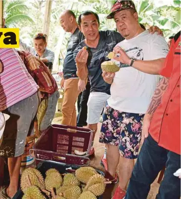  ??  ?? PENGGEMAR durian sanggup ke Segamat untuk menikmati kelazatan durian Saka.