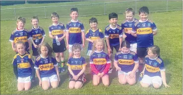  ?? ?? The Ballyhooly GAA U8s following their game with Killavulle­n on Sunday, April 24th.