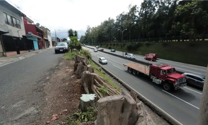  ?? ALONSO TENORIO ?? Recienteme­nte, el MOPT realizó la corta de varios árboles sobre el derecho de vía en la autopista General Cañas. Ese tipo de labores será más expedita.