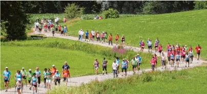  ??  ?? Die Kolonne der Nordic Walker schlängelt­e sich im vorherigen Jahr durchs Günztal. Heuer wird das Mindeltal zur Walkingstr­ecke.