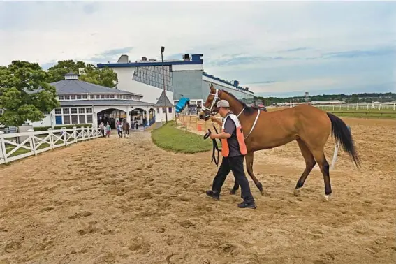  ?? KENNETH K. LAM/BALTIMORE SUN ?? A racehorse heads to the paddock at Laurel Park last Sunday. Maryland last month faced its own crisis when five horses suffered fatal accidents in racing or training at Laurel Park, forcing a temporary shutdown.