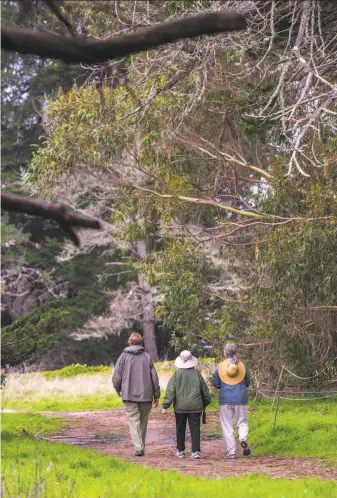  ?? Photos by Nic Coury / Special to The Chronicle ?? Judy Ward (right) walks with friends through Lighthouse Field State Park in Santa Cruz, where monarchs are usually found during winter. The butterfly population has dropped alarmingly.