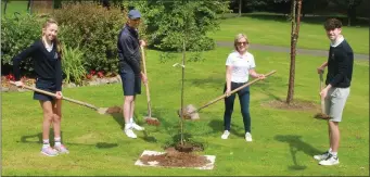  ??  ?? Captains Keith Reid and Julie McCartan with Junior Captains Caroline McGarry and Evan Byrne at the tree-planting ceremony in Courtown on Saturday.