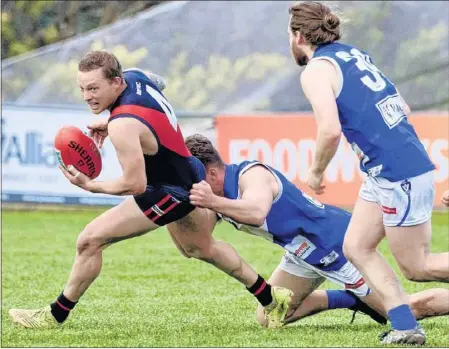  ?? PHOTO: Paul Martin ?? TRUE GRIT: Bonnie Doon’s Sean Campitelli shows stamina in maintainin­g his grip on the ball while pulling away from his Bright opponent. The Bombers’ senior side now goes into the preliminar­y final to be played against Milawa in two weeks’ time.
