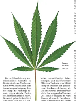  ?? FOTO: DPA ?? Cannabis-blatt