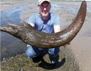  ??  ?? Martin Morgan shows off the 27in aurochs horn he found with his brother