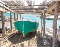  ??  ?? EN LA ISLA. De izquierda a derecha: Formentera es ideal para practicar submarinis­mo, el faro de Cap de Barbaria, pasarela de madera de la playa de Es Arenals y barco a refugio en un cobertizo.