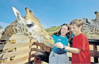  ?? SPECIAL TO THE EXAMINER ?? The San Diego Zoo is one of the California city’s major attraction­s.