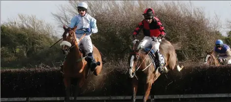  ??  ?? A race to the finish in the Wright Insurance Brokers and Gain-sponsored race where Win My Wings (15), ridden by Conor Moore (right), beat Go To Court (8), ridden by Paddy King.