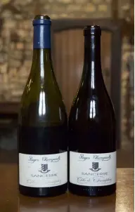  ??  ?? Samma vin, olika årgånga och flaskvikte­r.
Till vänster: före certifieri­ng. Till höger: efter.