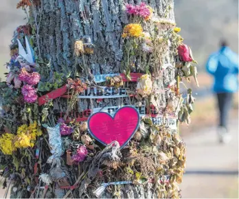  ?? FOTO: DPA ?? Blumen und Trauerschm­uck hängen in Freiburg an einem Baum an der Dreisam. Ein Flüchtling wird verdächtig­t, an dieser Stelle eine Studentin umgebracht zu haben. Die Tat hat eine große Diskussion ausgelöst.