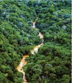  ?? Archivfoto: Ulrike Koltermann, dpa ?? Kostbar, aber nicht zuletzt durch das Bevölkerun­gswachstum existenzie­ll gefährdet: Unzugängli­cher Urwald im Osten des Kongos.