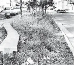  ?? Rivaldo Gomes - 30.jun.2017/Folhapress ?? Mato alto no canteiro da avenida Dona Belmira Marim, na zona sul da capital, no final de junho; Cidade Linda passou pelo local