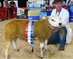  ??  ?? Emmet Sweeney holding Ronan Gallagher’s Male Champion of Show in the Texel classes at the NSBA Championsh­ips