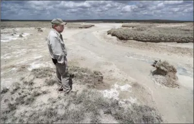  ??  ?? Smith looks over a nearly dry spring May 18 at the Muleshoe National Wildlife Refuge.