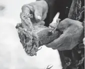  ?? PHOTOS BY PALDEN NYIMA / CHINA DAILY ?? Rijak, the root of a poisonous plant, is used as the raw material of the Tibetan paper.