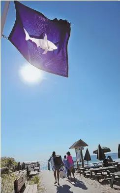  ?? STAFF PHOTOS BY NANCY LANE ?? SHARING THE SEA: Beach fans flock to Nauset Beach in Orleans, above and far right, despite the purple shark warning flags.