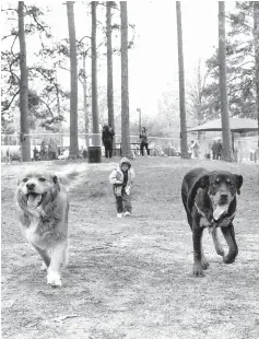  ?? Staff file photo by Jerry Habraken ?? ■ Two dogs quickly make friends in April 2014 at the grand opening ceremony of the Kylee Sullivan Dog Park at Spring Lake Park.