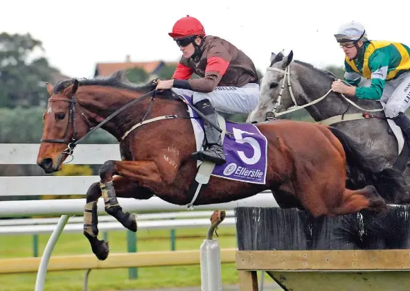  ??  ?? Hawke’s Bay Hurdles favourite Real Treasure, and rider Shaun Phelan, are unbeaten in two starts over fences this winter.
Photo: RACE IMAGES