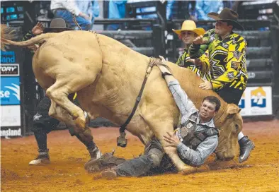  ?? IN HARM’S WAY: Charters Towers protection athlete Bob Dahl in action. ??