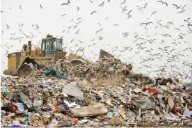  ?? Photograph: Nature Picture Library/Alamy ?? A landfill site at Pitsea in Essex.