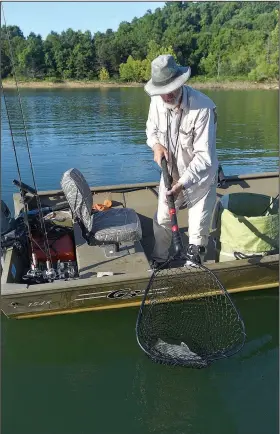  ?? NWA Democrat-Gazette/FLIP PUTTHOFF ?? Darr releases a hybrid striper he caught. Striped bass must be 20 inches or longer to keep.