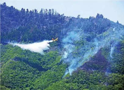  ?? ?? El dispositiv­o del incendio forestal del norte de Tenerife