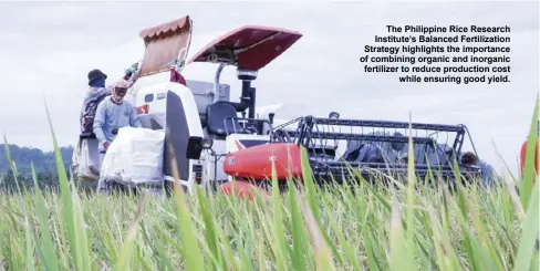  ?? ?? The Philippine Rice Research Institute’s Balanced Fertilizat­ion Strategy highlights the importance of combining organic and inorganic fertilizer to reduce production cost
while ensuring good yield.