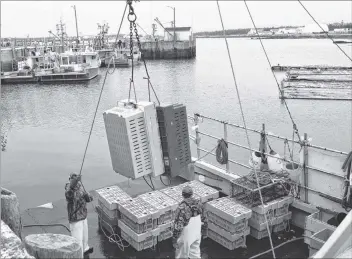  ?? KATHY JOHNSON PHOTO ?? Crates of lobster are offloaded from a fishing vessel at the Lower Woods Harbour wharf. The $9 shore price set within two weeks of the season opening is still holding, although it has created resistance in the marketplac­e.