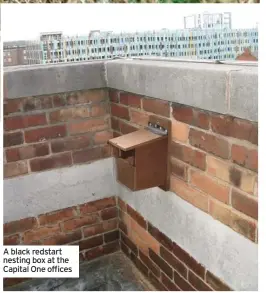  ?? ?? A black redstart nesting box at the Capital One offices