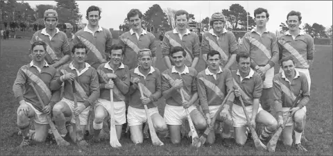  ??  ?? The late Michael Jordan with his Buffers Alley colleagues in Wexford Park on November 29, 1970, when they defeated Shamrocks (holders) by 4-16 to 1-4 to win a second county Senior hurling title in the space of three years. Back (from left): Bill Murphy (R.I.P.), Mick Kinsella, Michael Jordan (R.I.P.), Larry Harney, Paddy Kavanagh, Henry Butler, Tony Doran. Front (from left): Mick Butler, Colm Doran, Joe Doran, Pierie Butler (capt.), John Doyle, Martin Casey, Bill Doran, Jack Hall.