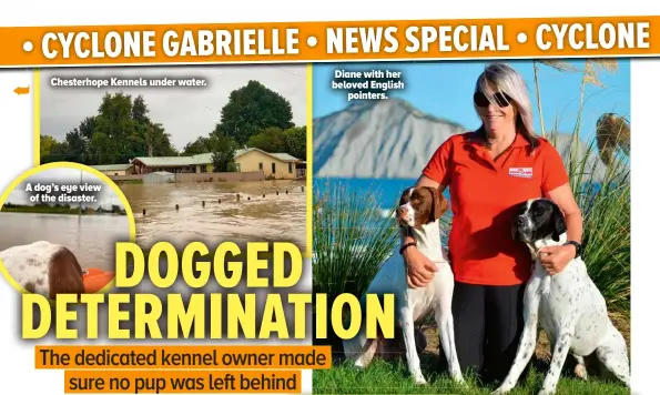  ?? ?? Chesterhop­e Kennels under water.
A dog’s eye view of the disaster.
Diane with her beloved English pointers.