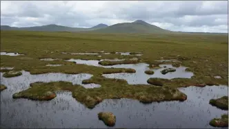  ??  ?? The Flow Country peatlands in Caithness and Sutherland could soon have status as a world heritage site