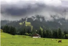  ?? Foto: Ralf Lienert ?? Das Riedberger Horn liegt im Nebel. Links ist die Lifttrasse zu erkennen, gegen die die Naturschüt­zer kämpfen.