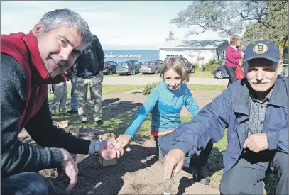  ?? MARILYNN LINLEY ?? Premier Stephen McNeil receives a tulip bulb from 10-year-old Haelie Webber as Coun. Wayne Fowler prepares to plant the next bulb as the Port Lorne Planters Group and friends planted tulips to celebrate Canada’s 150th birthday in 2017.