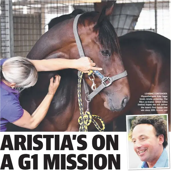  ?? Pictures: AAP ?? LEADING CONTENDER: Physiother­apist Kate Sagar treats Aristia yesterday. The filly’s co-trainer Simon Zahra (below) hopes she will deliver the team’s first Group One win since 2011.