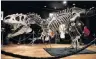  ?? PHOTO: REUTERS ?? The allosaurus skeleton on display at the Binoche et Giquello auction house in Paris.