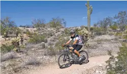  ?? ROSS D. FRANKLIN/ASSOCIATED PRESS ?? A mountain biker heads south along the Maricopa Trail on Wednesday inside the White Tank Mountain Regional Park in Waddell, Ariz. Maricopa County has completed a 315-mile hiking and biking trail that circles Phoenix and most of its suburbs.