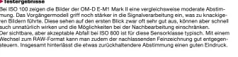  ??  ?? Bei ISO 100 zeigen die Bilder der OM-D E-M1 Mark II eine vergleichs­weise moderate Abstimmung. Das Vorgängerm­odell griff noch stärker in die Signalvera­rbeitung ein, was zu knackigere­n Bildern führte. Diese sehen auf den ersten Blick zwar oft sehr gut...