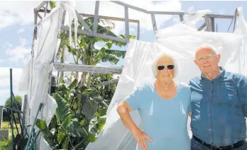  ?? Photo / Stuart Whitaker ?? Robyn and Michael French in front of the tropical house damaged when a tornado swept through their property.