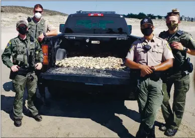  ?? PHOTOS COURTESY OF CALIFORNIA DEPARTMENT OF FISH AND WILDLIFE ?? Wardens McCall, Corona-Alvarez, Decker and Emershy at Sunset State Beach with a pickup bed full of seized Pismo clams.