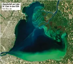  ??  ?? Algenbefal­l am Lake St. Clair in den USA