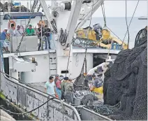  ?? ARCHIVO / EXPRESO ?? Sector. En el país existen unos 116 barcos atuneros ecuatorian­os.